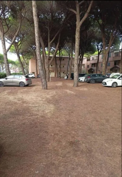Appartamento Mare E Pineta Marina di Grosseto Daire